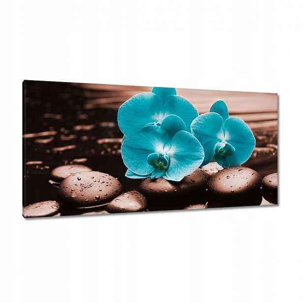 Obrazy 115x55 Tyrkysový orchidej