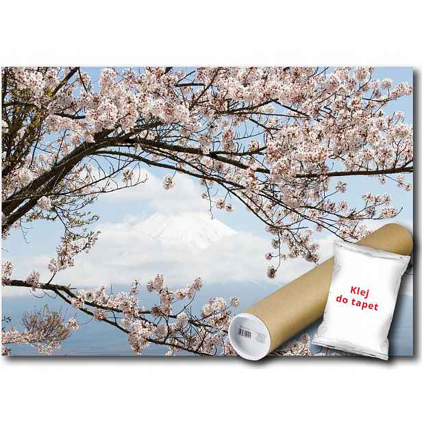 Vinylová Fototapeta Pohled Krajina Hora Fuji Višeň Japonsko Honsiu 152x104