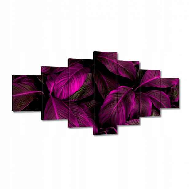 Obrazy 210x100 Krásné fuchsiové listy