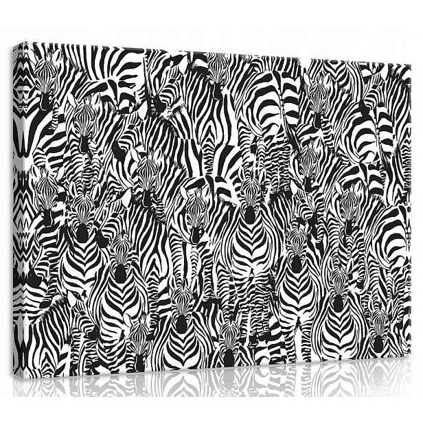 Obraz Na Plátně Canvas 70x50 Zebra Zebry Grafika