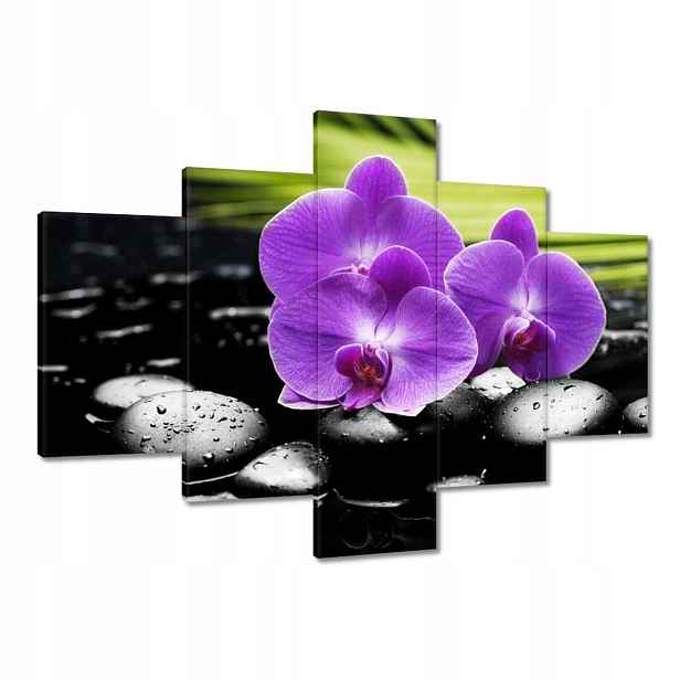 Obrazy 100x70 Fialové orchideje