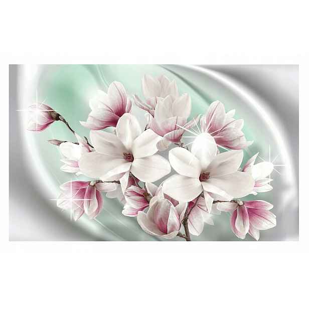 Fototapeta Květiny Magnolie Tapeta Na Zeď Do Ložnice Obývacího Pokoje 368x254