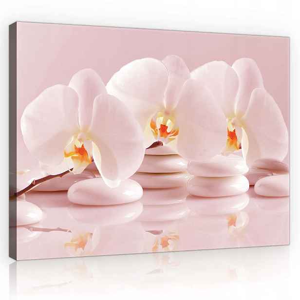 Obraz 80x60 Orchideje bílé květy kameny zen klid harmonie jemnost