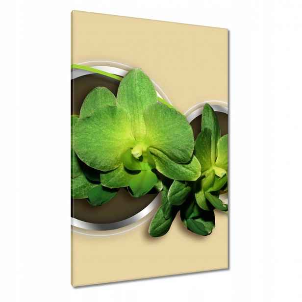 Obrazy 80x120 Zelená orchidej