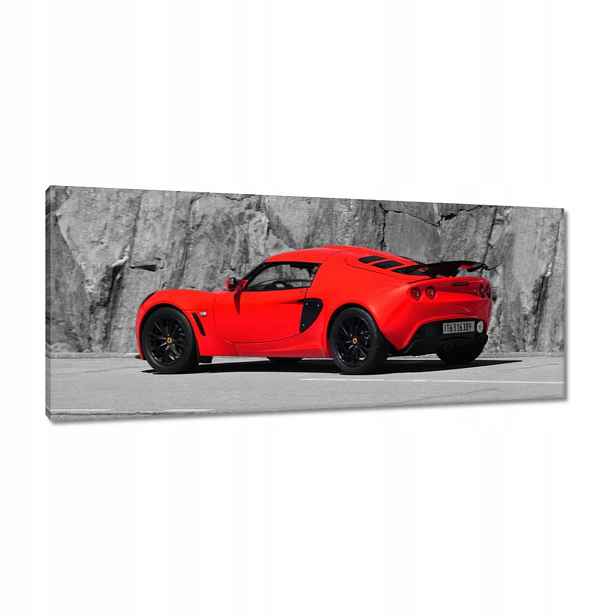 Obrazy 100x40 Červený Lotus