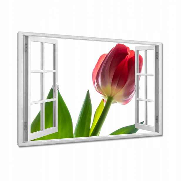 Obrazy 90x60 Červený tulipán Květina