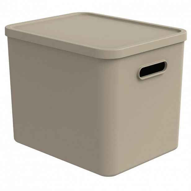 Rotho ÚLOŽNÝ BOX plast