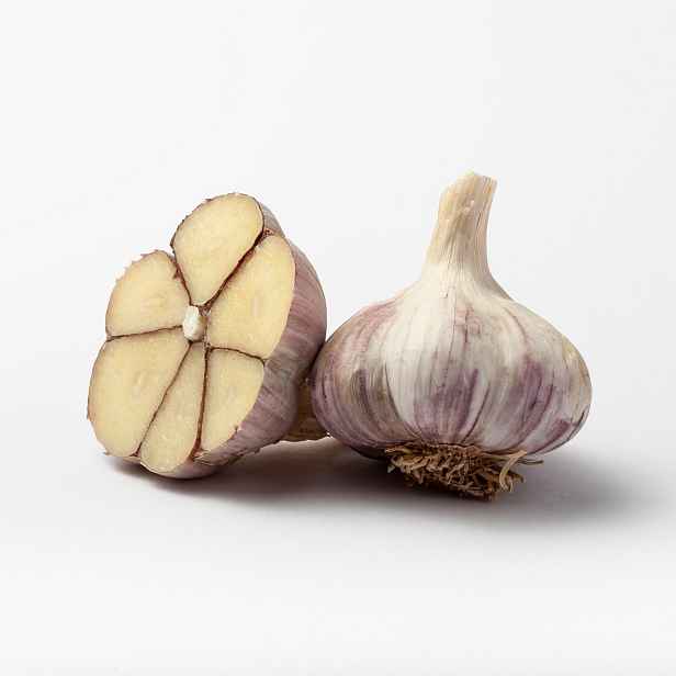 Česnek Havran – 3 až 4 cibule