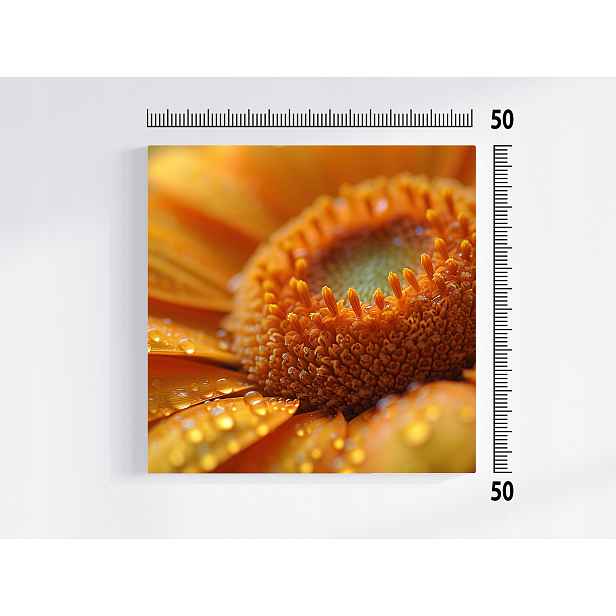 Obraz Na Plátně Canvas Příroda Makro Fotografie Květ Gerbera Aster 50x50