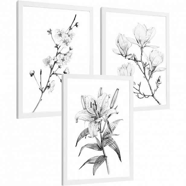 PLAKAT Sada 3 obrázků květin. Dekorativní nástěnné tisky Květiny tužkou. botanický plakát na zeď. Noridco květinové malby.Velikost A4 Bílý rám