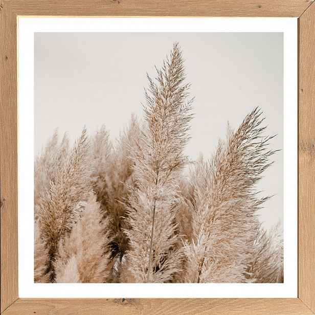 Rámovaný obraz Pampas 35x35 cm, dub artisan