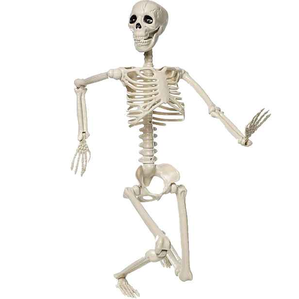 Dekorace Halloween Kostra člověka Kostlivec Pohyblivá Lebka 94 Cm