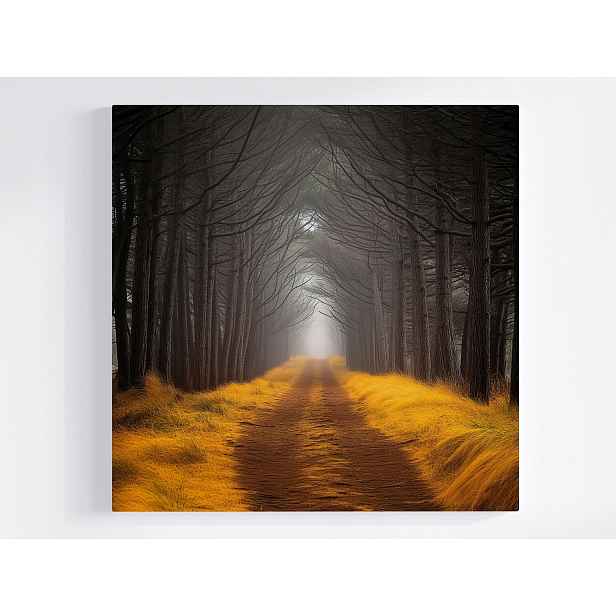 Obraz Na Plátně Canvas Krajina Cesta Stezka Aleje Stromy Podzim 50x50