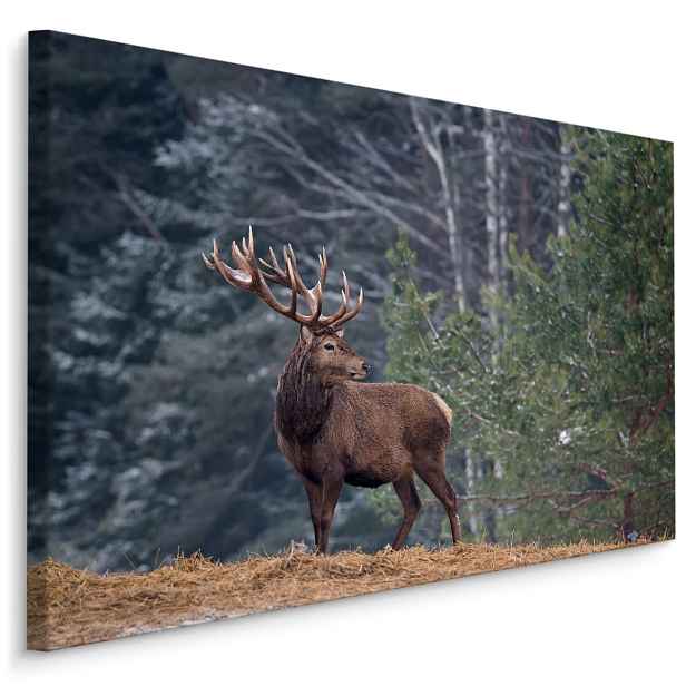 MyBestHome BOX Plátno Majestátní Jelen V Lese Varianta: 70x50