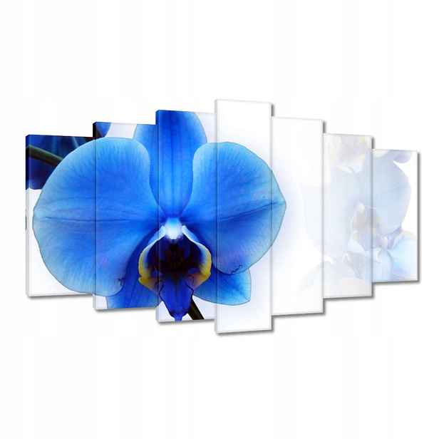 Obrazy 140x80 Modrý orchidej