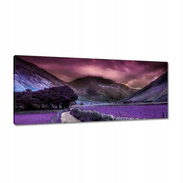Obrazy 100x40 Fialová krajina
