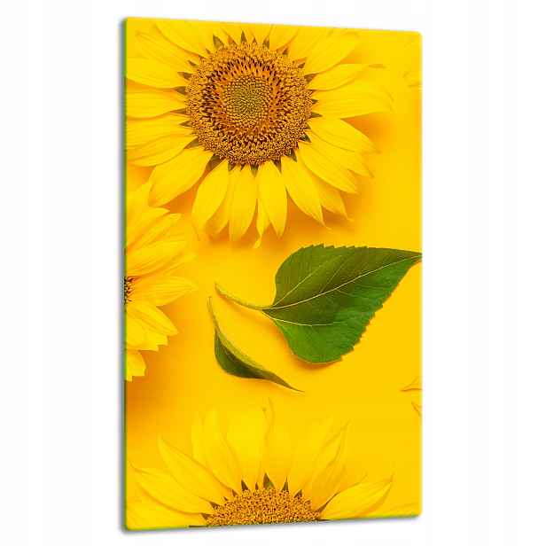 7v1 Skleněná Deska Panel Deska 30x52 Květina