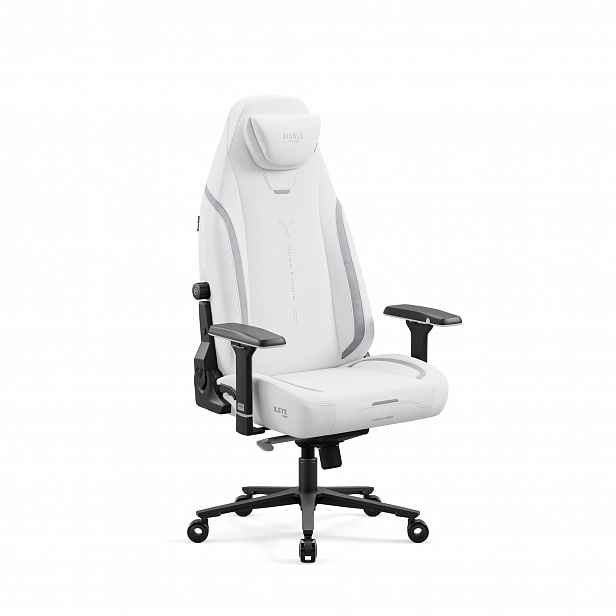 Herní židle bílá Normal Size: Diablo X-Eye Prime Ghosted White