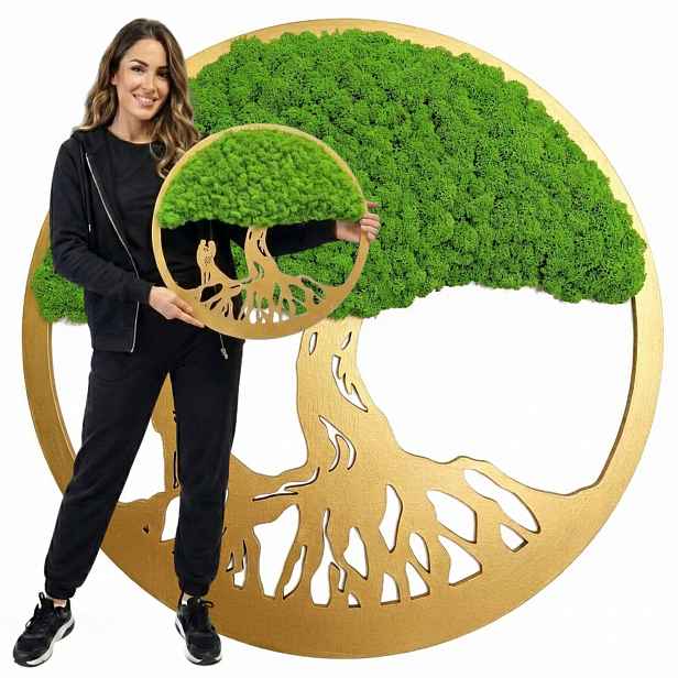 Obraz Z Mechu mech chrobotek Živý Stromek Bonsai na zeď Ozdoba Dekorace