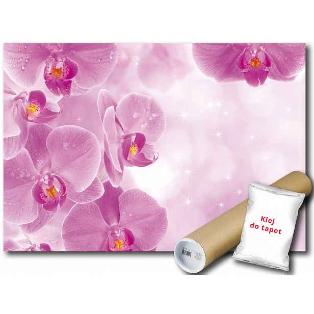 Fototapeta Růžové Orchideje 9D Fxl 208x146 F149