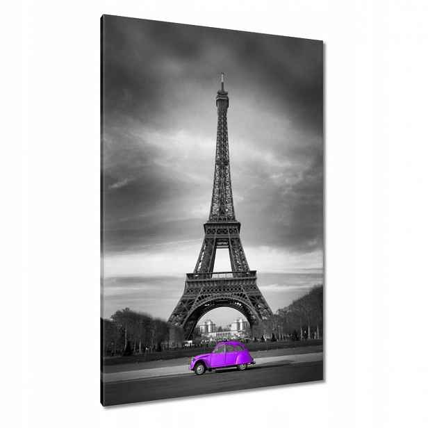 Obrazy 80x120 Fialová Citroen Věž