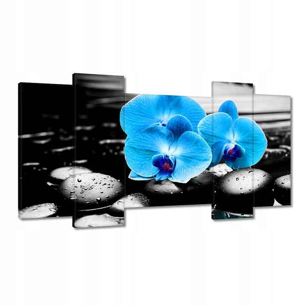 Obrazy 120x65 Tyrkysový orchidej Květina