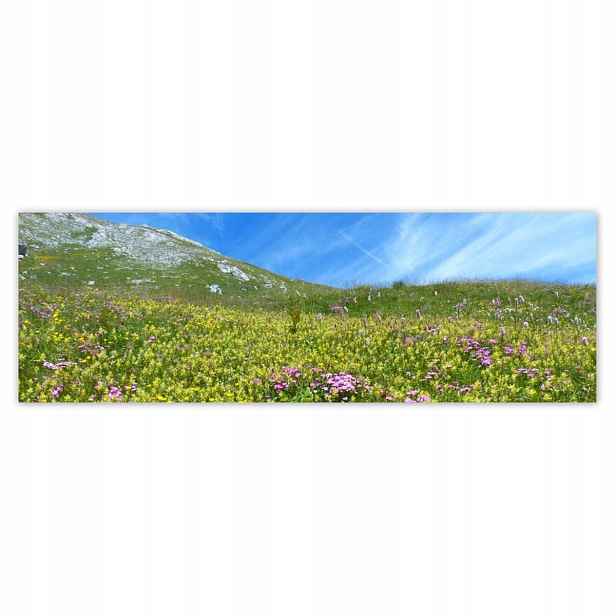 Plakáty 200x66 Alpská louka