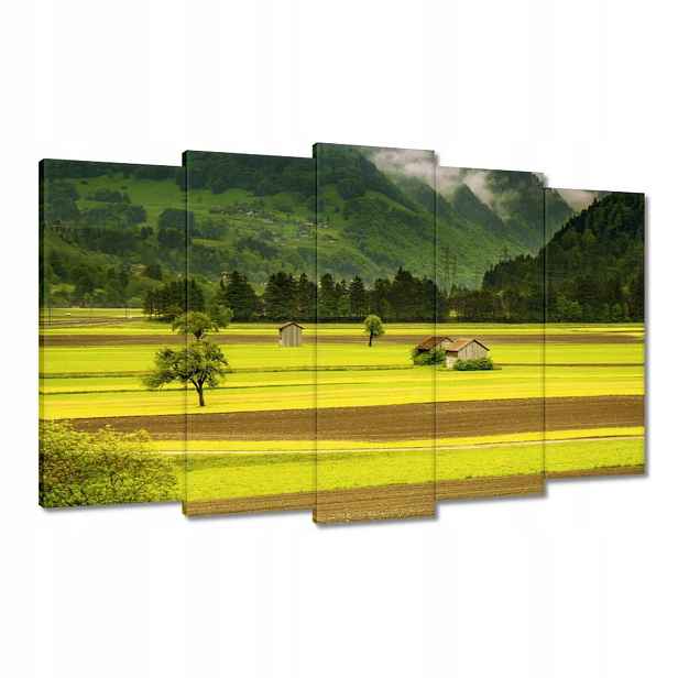 Obrazy 100x60 Zelené lány