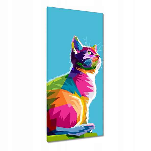 Obrazy 55x115 Abstraktní kočka