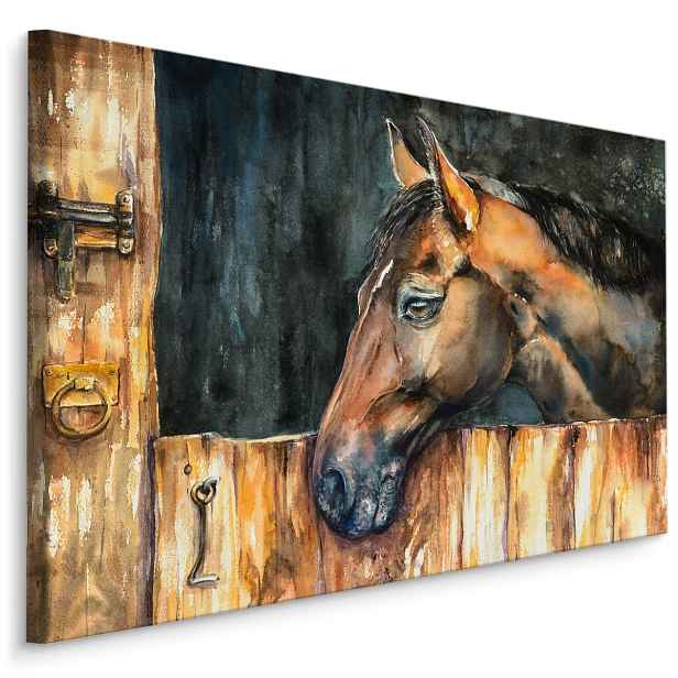 MyBestHome BOX Plátno Kůň Ve Stáji Varianta: 70x50