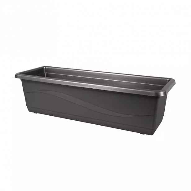 Truhlík lobelia š50cm; v14cm - antracit