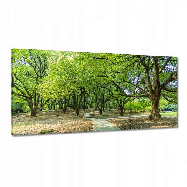 Obrazy 180x90 Zelený park s cestičkou