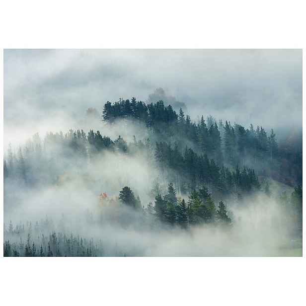 Fototapeta Zelená lesní mlha Idylka tajemný les 312x219 vinylová lepidlo