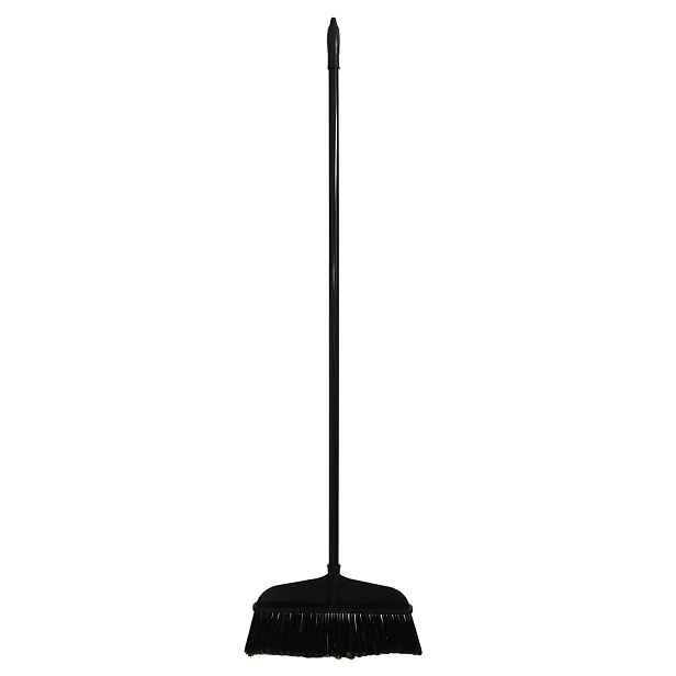 PROHOME - Smeták s násadou 34x135cm