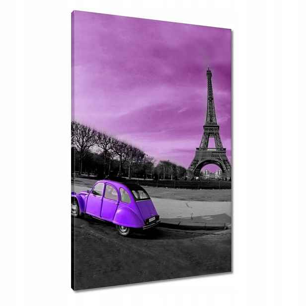 Obrazy 60x90 Fialový Citroen