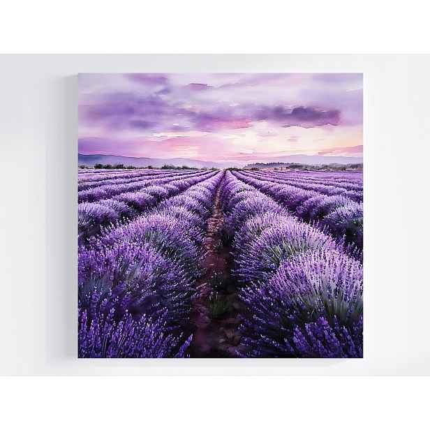 Obraz Na Plátně Canvas Krajina Pole Plantáž Květiny Levandule Fialová 50x50