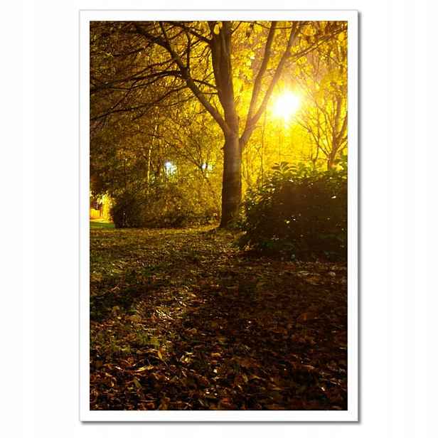 Plakáty v rámu 40x60 Park v noci