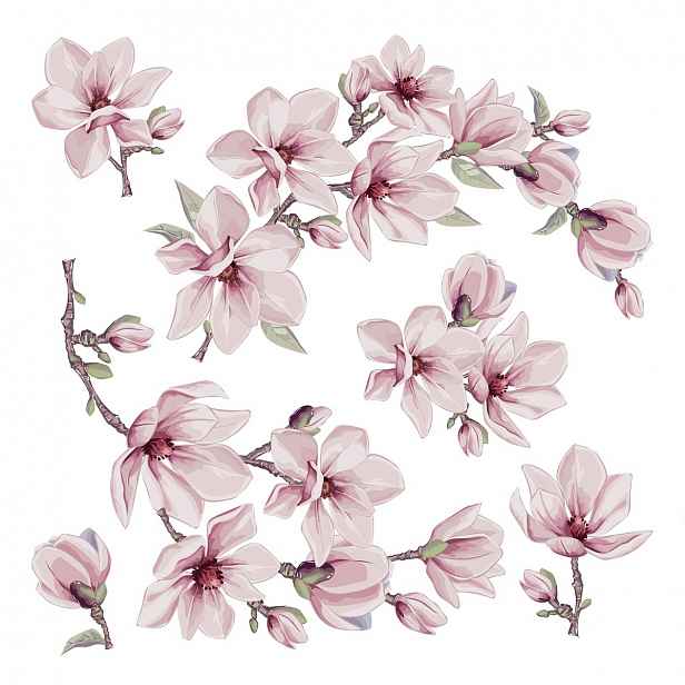 Samolepicí dekorace Magnolia blossom, 30 x 30 cm