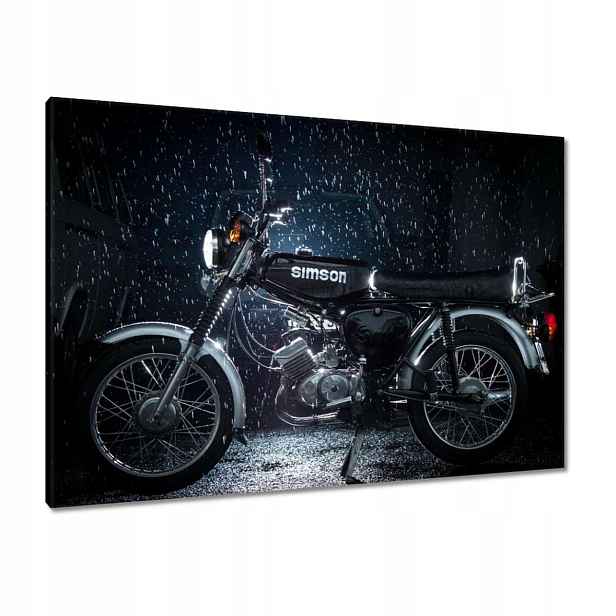 Obrazy 100x70 Černý Simson v dešti