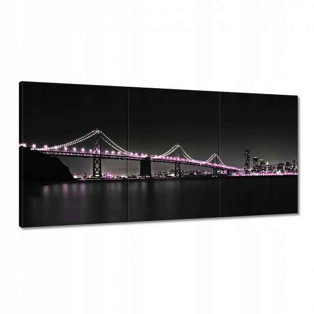 Obrazy 120x60 Most Fialová světýlka
