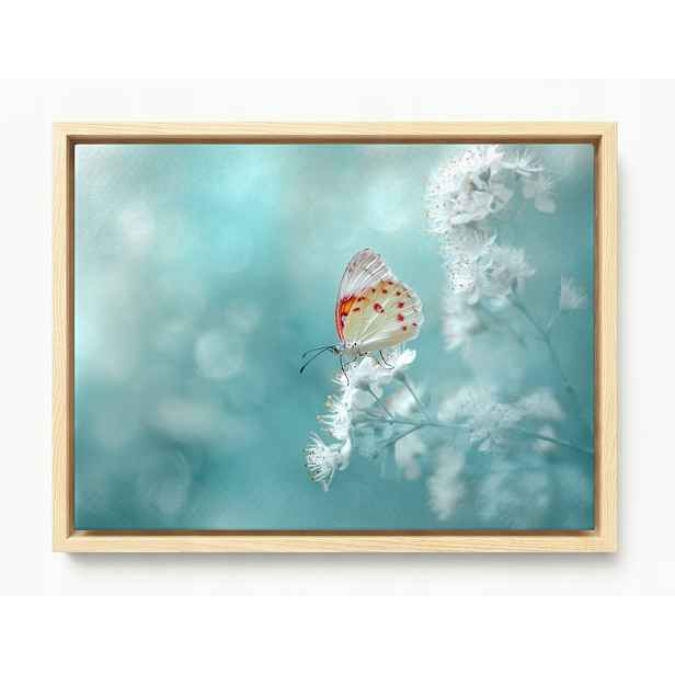 Obraz Rám Americký Box Jemný Motýl Bílé Květy Turkus Bokeh 80x60
