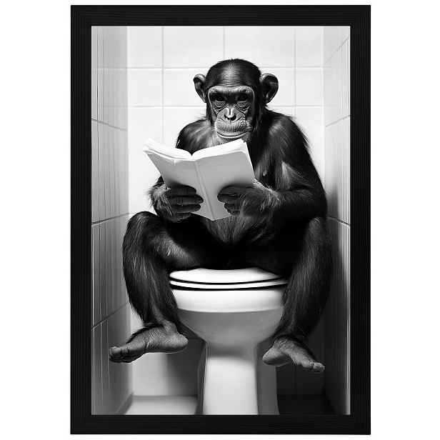 Plakát Rámeček Dřevo Opice Šimpanz Toaleta Wc Kniha Humor Foto 40x60