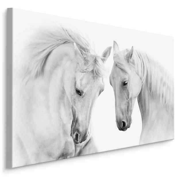 MyBestHome BOX Plátno Dva Bílí Koně Varianta: 100x70