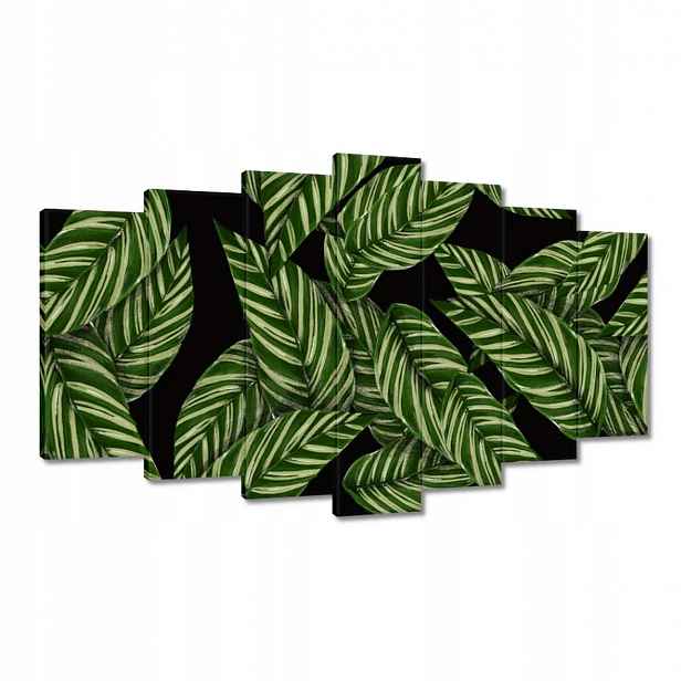 Obrazy 140x80 Zelené listy Tropiky