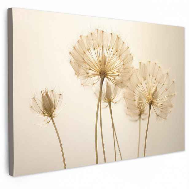 MuchoWow OBRAZ NA PLÁTNĚ Sluneční světlo - Pampeliška - Botanické - Květiny 30x20 cm