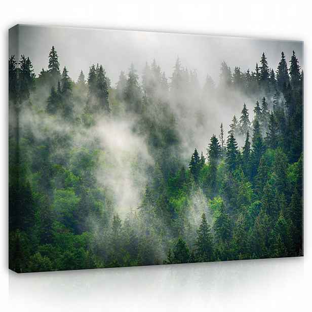 Obraz Les v mlze Krajina Stromy Pohled 100x70