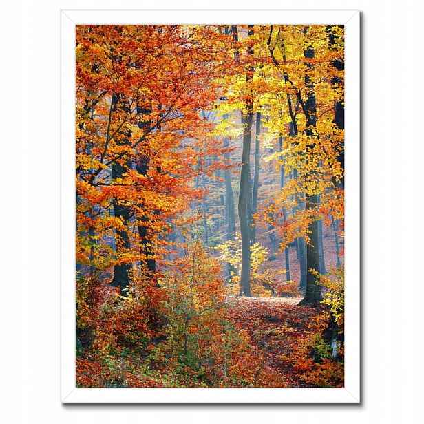 Plakáty v rámu 30x40 Zlatý podzim
