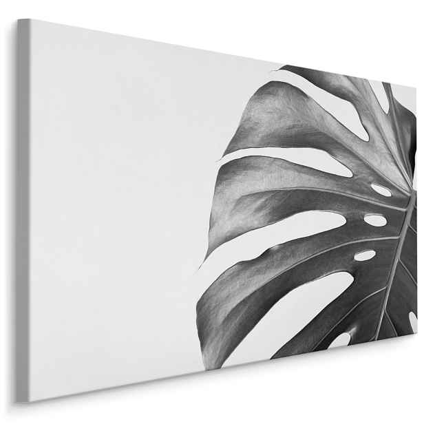MyBestHome BOX Plátno List Monstera V Černobílém Provedení Varianta: 30x20