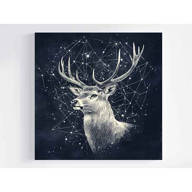 Obraz Na Plátně Canvas Grafika Noc Nebe Hvězdy Souhvězdí Jelen 50x50