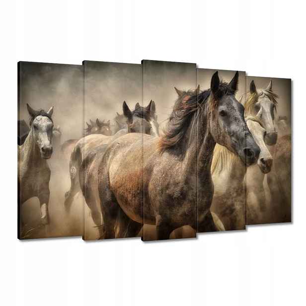 Obrazy 150x95 Divocí koně Koníci Galop
